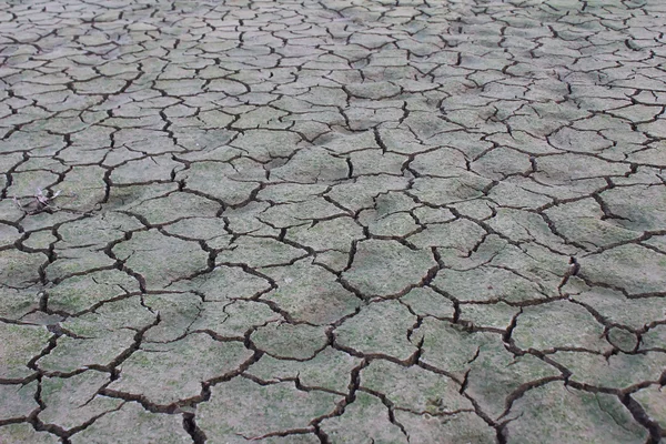 Desastre de seca — Fotografia de Stock