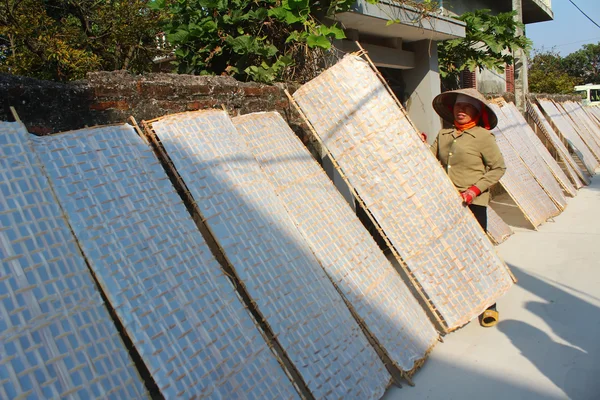 Séchage traditionnel du papier de riz au soleil, Vietnam — Photo