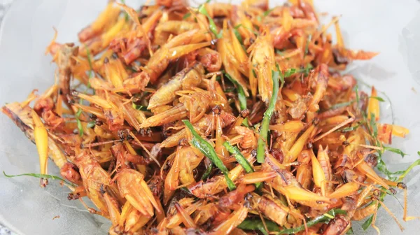 Roasted grasshoppers — Stock Photo, Image