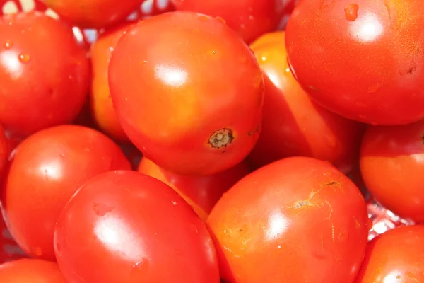 Rijpe tomaten in mand — Stockfoto