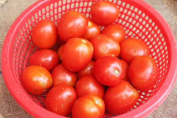 Tomates maduros en cesta — Foto de Stock