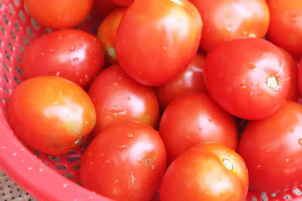 Reife Tomaten im Korb — Stockfoto