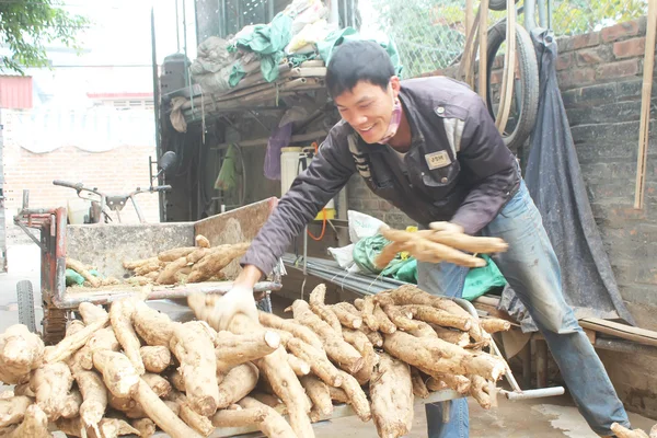 加工库祖面粉的人 — 图库照片