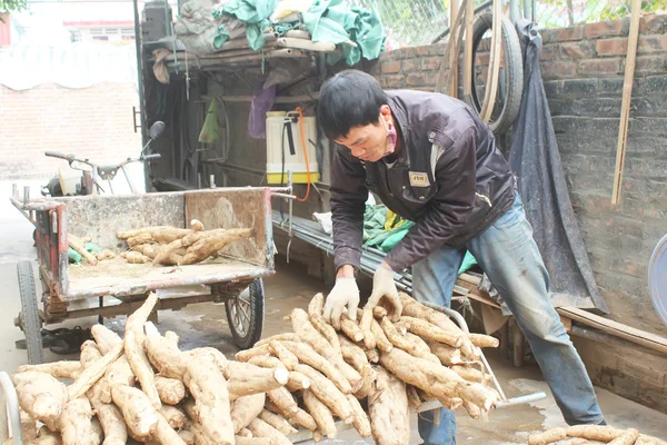 Personas que procesan harina de Kudzu —  Fotos de Stock