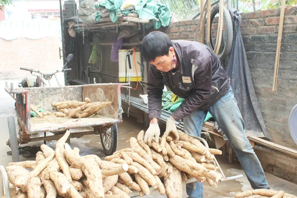 加工库祖面粉的人 — 图库照片