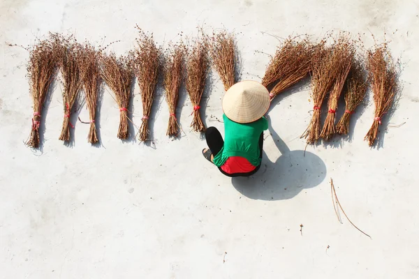 Girl drying brooms — Stock Photo, Image