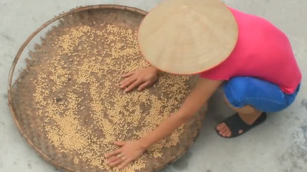 Menina e feijão — Vídeo de Stock