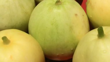 plaka olarak salatalık