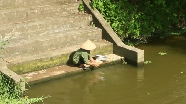 Femme laver les vêtements dans la rivière — Video