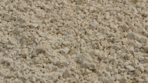 Cassava flour on plate — Stock video