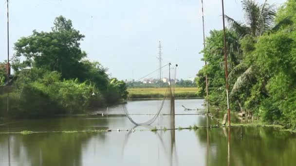 Vissen met netten op de rivier — Stockvideo