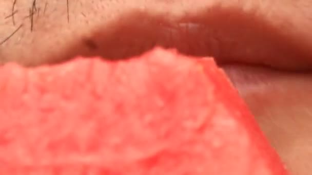 Spise vandmelon – Stock-video