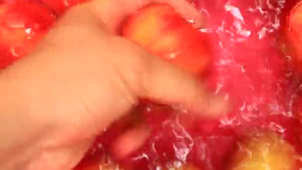 Wash peaches in water — ストック動画