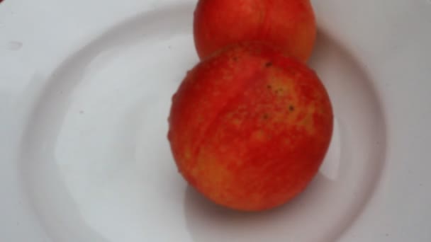 Персики на тарелке — стоковое видео