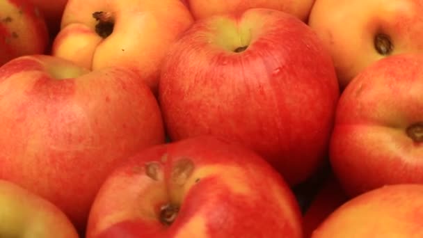 Персики на тарелке — стоковое видео