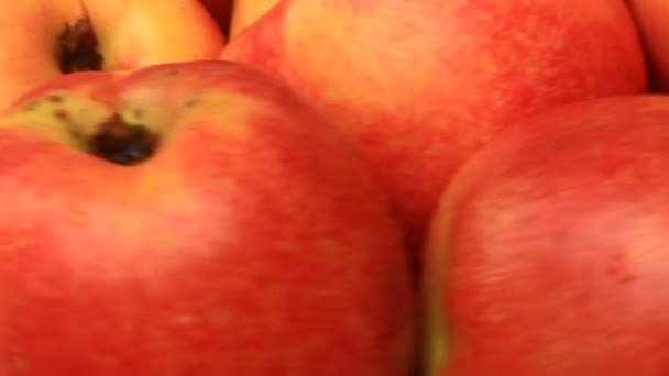 Peaches on a plate — Stock Video