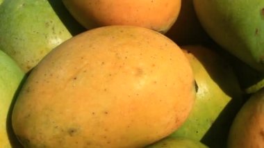 Mango plaka üzerinde