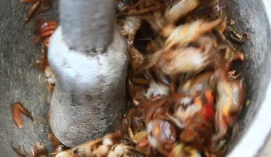shrim ve yengeç harç ve havaneli gıda işleme