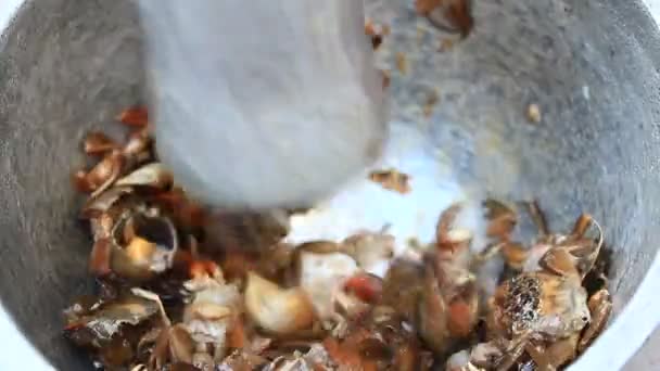 Processing food from shrim and crab by mortar and pestle — Stock Video