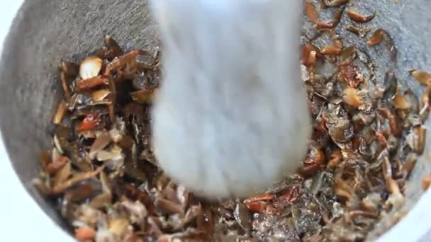 Transformation des aliments à partir de crevettes et de crabes au mortier et au pilon — Video