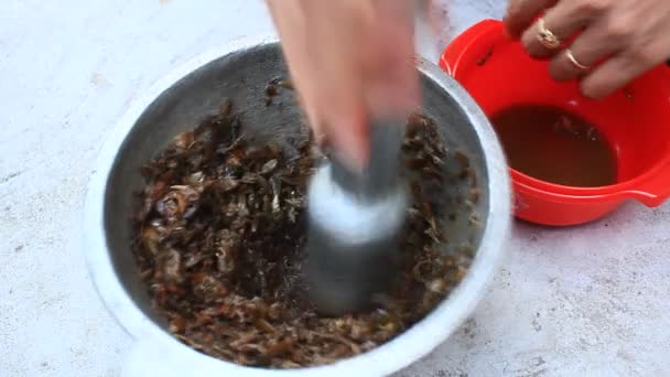 Transformação de alimentos à base de arenque e caranguejo por argamassa e pilão — Vídeo de Stock