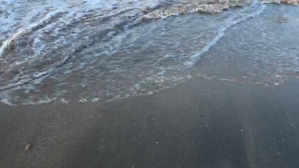 Olas en la playa — Vídeos de Stock