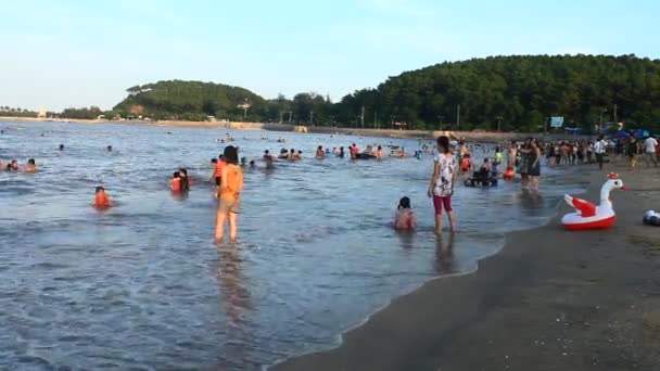 Menschen, die am Strand baden — Stockvideo
