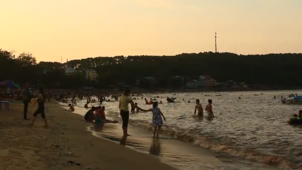 Άνθρωποι κολύμβησης στην παραλία — Αρχείο Βίντεο