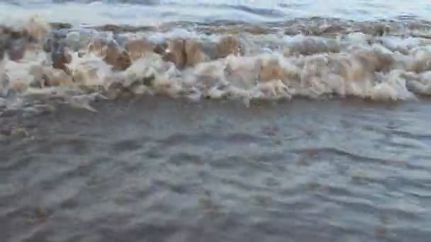 Olas en la playa — Vídeo de stock