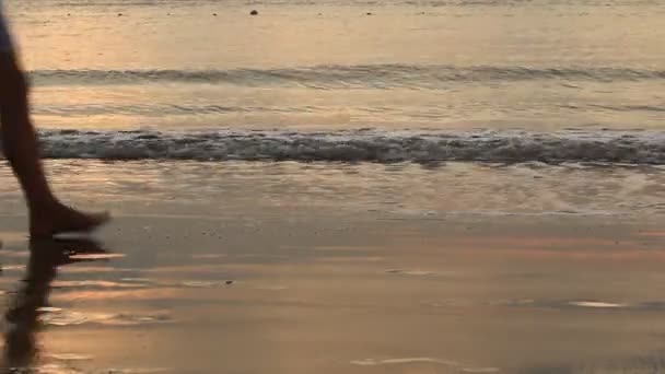 Схід сонця на пляжі — стокове відео