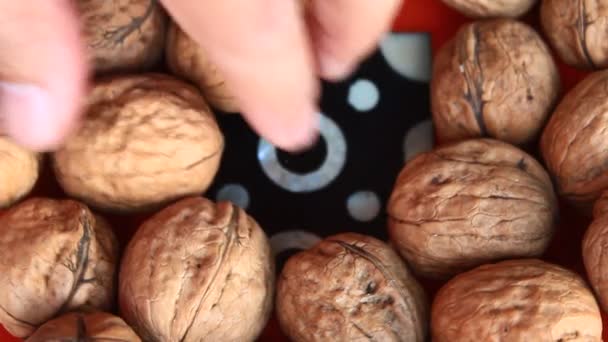 Loupané vlašské ořechy — Stock video