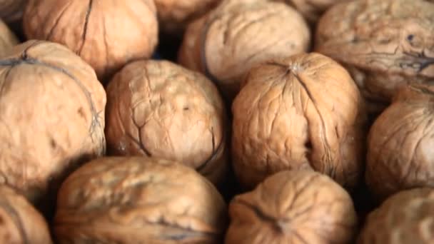 Nueces peladas — Vídeo de stock