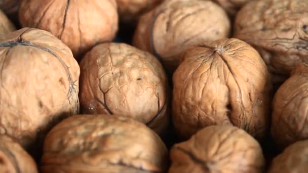 Peeled walnuts — Stock Video