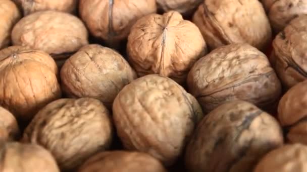 Очищенный грецкий орех — стоковое видео
