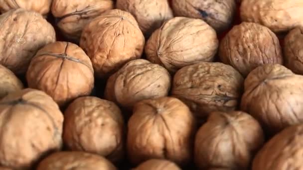 Peeled walnuts — Stock Video