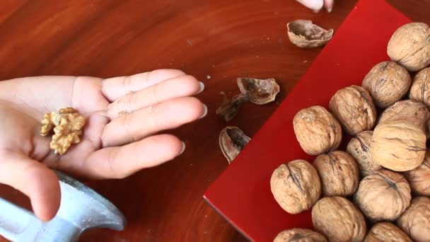 Nueces peladas — Vídeos de Stock