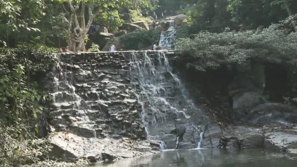 Pure fresh water waterfall in forest — Stock Video