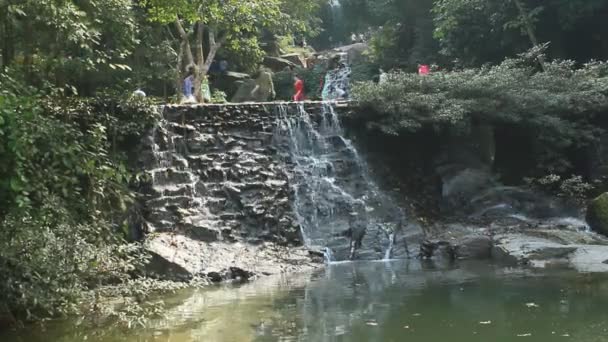 Cachoeira de água doce pura na floresta — Vídeo de Stock