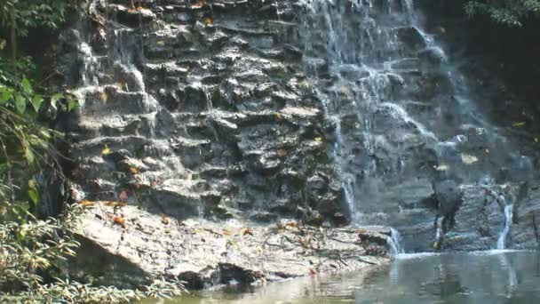 Wasserfall aus reinem Süßwasser im Wald — Stockvideo
