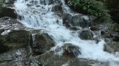 Ormanda saf temiz su şelalesi