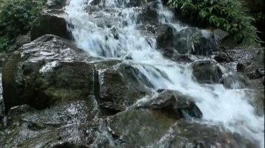 Ormanda saf temiz su şelalesi