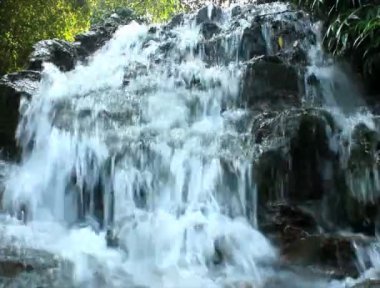 Ormanda saf temiz su şelalesi