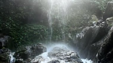 Ormanda saf temiz su şelalesi