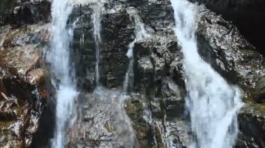 Ormanda saf temiz su şelalesi