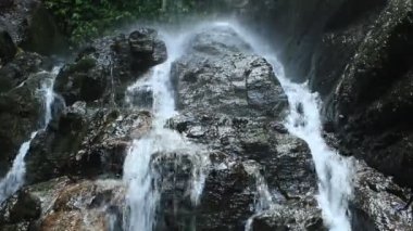 Ormanda saf temiz su şelalesi