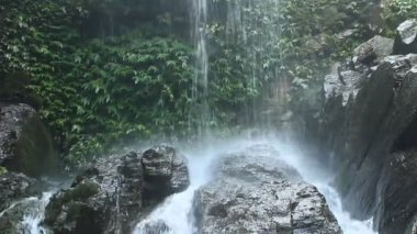 Ormanda saf temiz su şelalesi