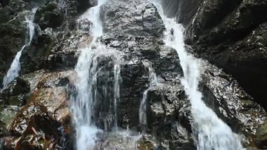 Ormanda saf temiz su şelalesi