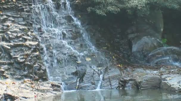 Cascada de agua dulce pura en el bosque — Vídeos de Stock