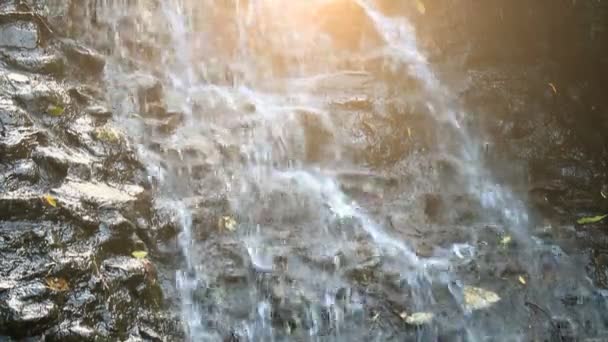 Cascata di acqua dolce pura nella foresta — Video Stock