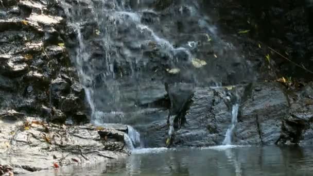 Pure fresh water waterfall in forest — Stock Video